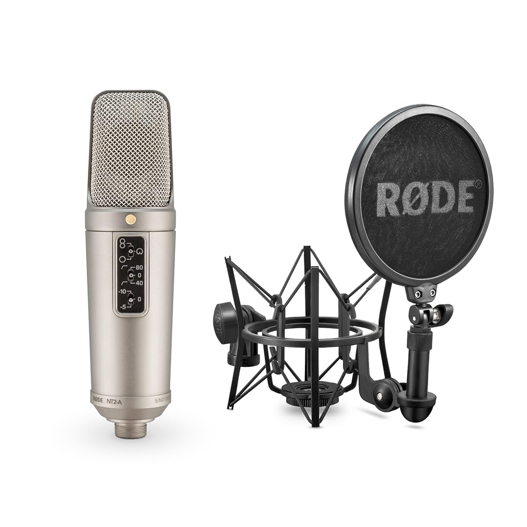 【最終値下げ】RODE NT2-A コンデンサーマイク Rode NT2A Anniversary Vocal Multi-Pattern Dual Condenser